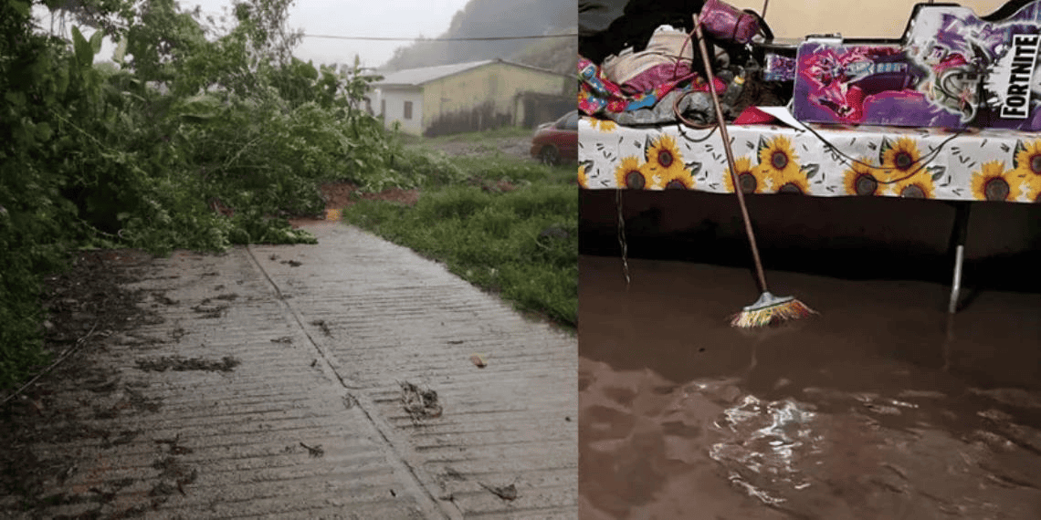 Lluvias intensas causan desbordamientos y afectaciones en 6 municipios de Chiapas