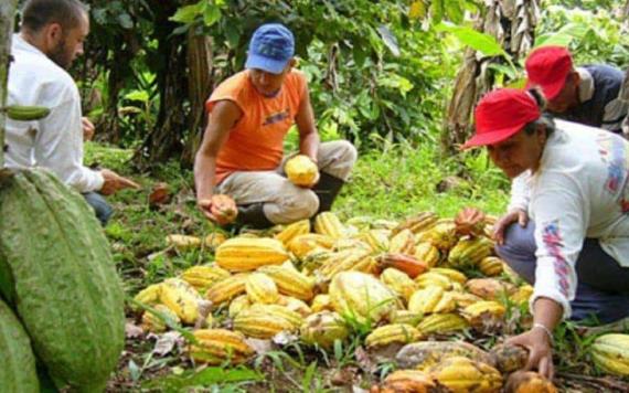 Bases geoeconómicas para un modelo de desarrollo en Tabasco (II)