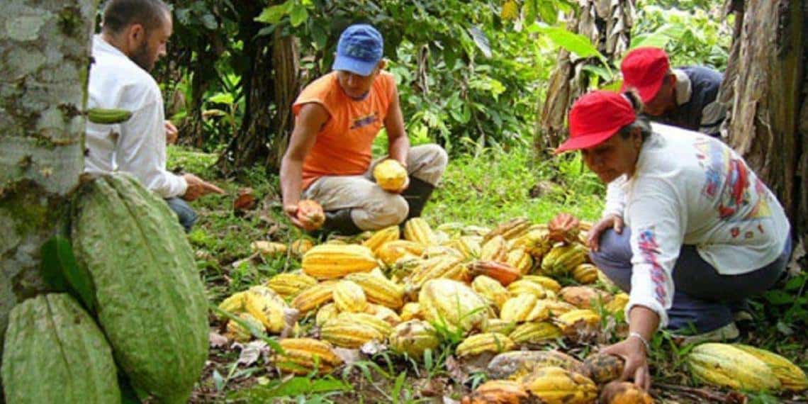 Bases geoeconómicas para un modelo de desarrollo en Tabasco (II)