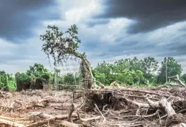 Cambio Climático y Eventos Meteorológicos Extremos