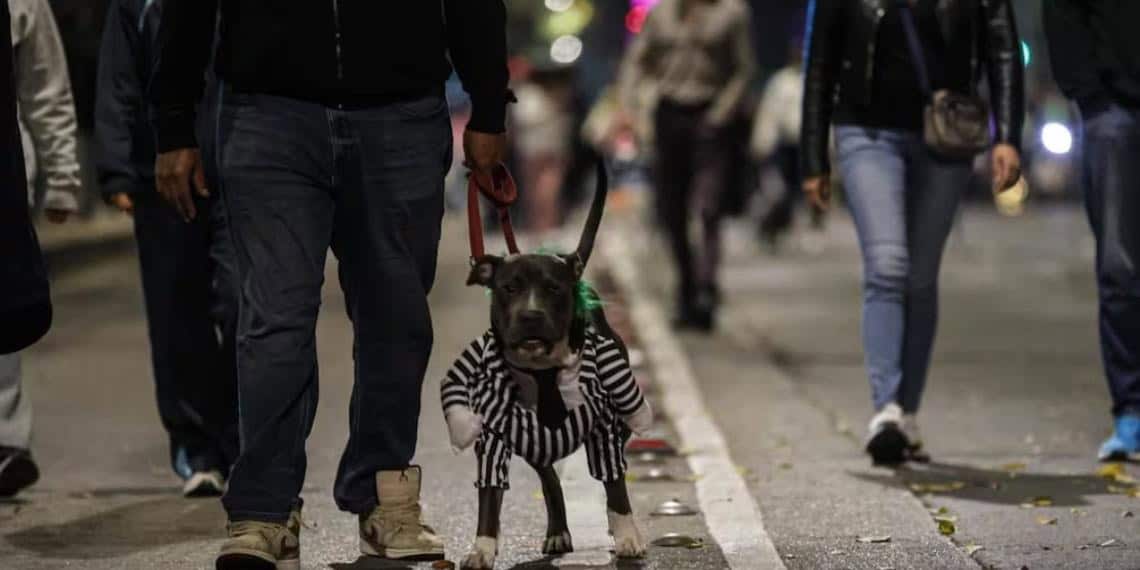 Payasos terroríficos, calaveras y hasta Batman participan en el Paseo Nocturno por Día de Muertos; las mascotas también están presentes