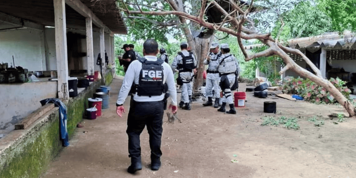 Aseguran campamento delictivo escondido entre una huerta de mango en Costa Grande, Guerrero