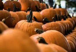 Esto podrían gastar los mexicanos para celebrar Halloween