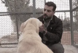 Hombre en Jordania ofrece refugio a perros que huyen de la guerra en el Líbano