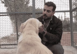 Hombre en Jordania ofrece refugio a perros que huyen de la guerra en el Líbano