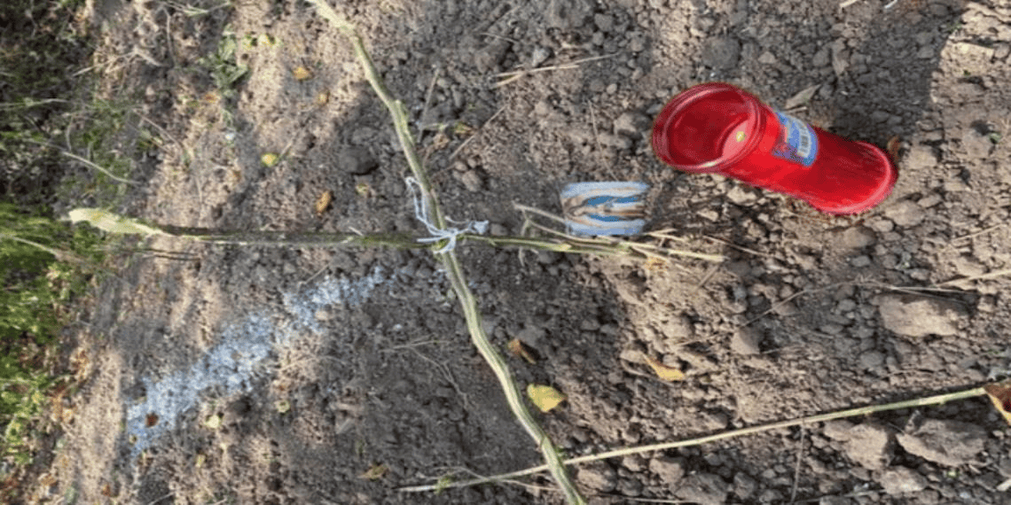 Hallan cinco cuerpos en una fosa clandestina de Mazatlán; hay tres mujeres entre las víctimas