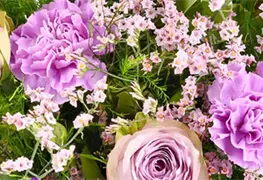 &iquest;Por qu&eacute; se regalan flores moradas este 9 de noviembre? Significado y origen