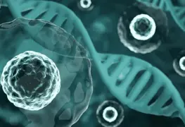 Hospital Juárez de México realiza triple trasplante simultáneo de células madre