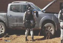 Acciones contra el crimen: Erradicación de plantíos de amapola y marihuana