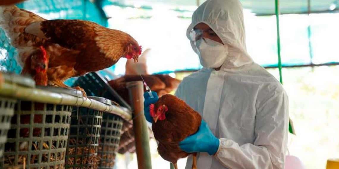 Primer caso confirmado de gripe aviar H5N1 en un niño de Estados Unidos