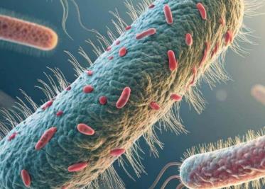 La alerta por un brote de Klebsiella Oxytoca genera inquietud entre los habitantes de México.