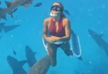 Tiburón muerde a influencer mientras prácticaba buceo