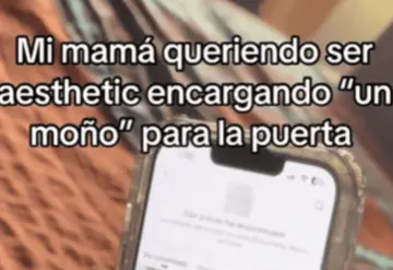 Error en compra online deja a mujer con un cubre puerta