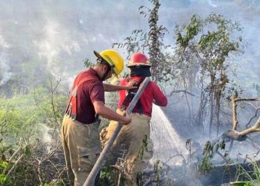 Sedener atiende quejas por cobros excesivos de la CFE