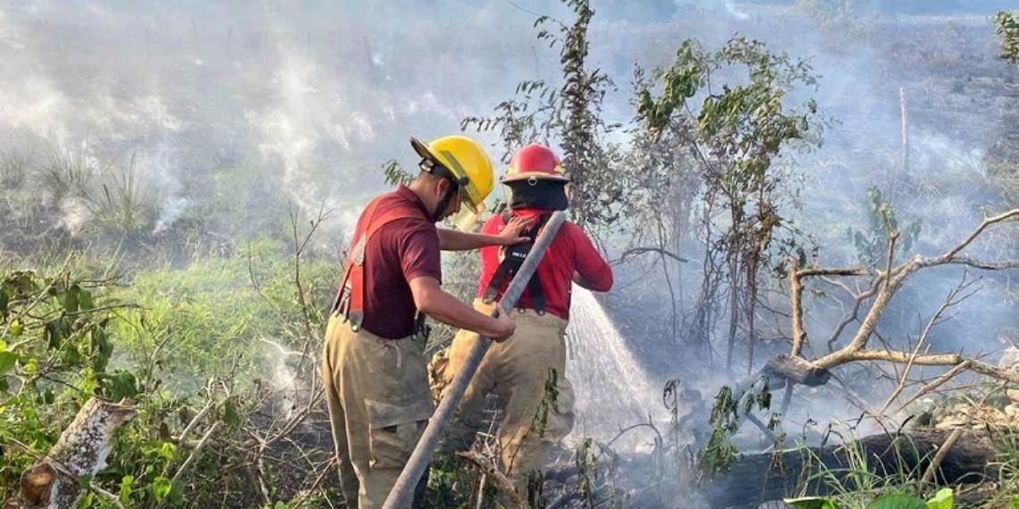 Nuevo convenio aumenta presupuesto para combate a incendios forestales