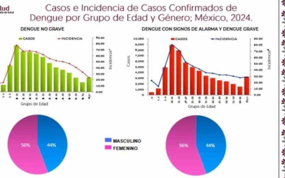 Incrementan los casos de dengue en México, siendo estos los estados con mayor impacto