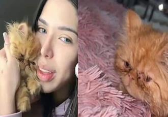 Yeri Mua enfrenta acusaciones de maltrato animal y se defiende