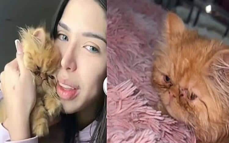 Yeri Mua enfrenta acusaciones de maltrato animal y se defiende