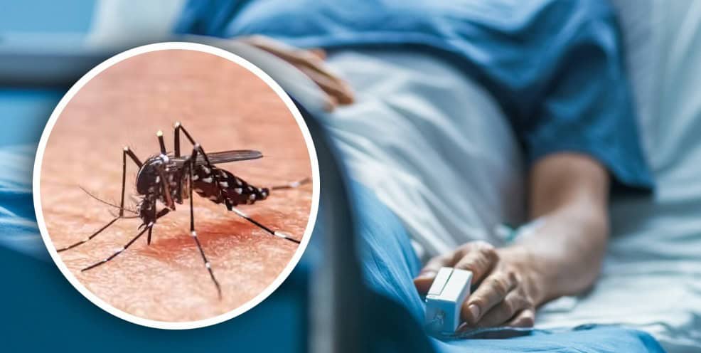 Baja Tabasco al lugar once en casos de dengue