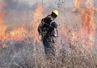 Tabasco preparado para prevenir y enfrentar incendios forestales: Javier May