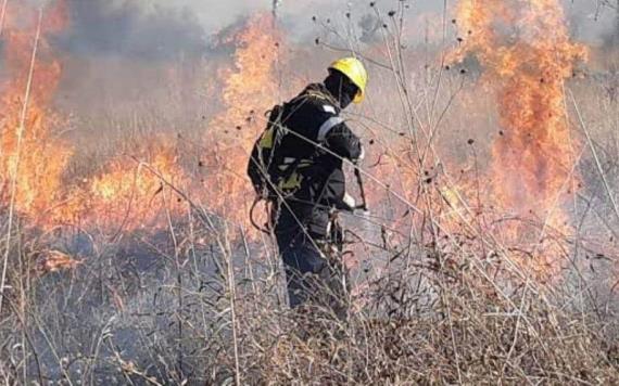 Tabasco preparado para prevenir y enfrentar incendios forestales: Javier May