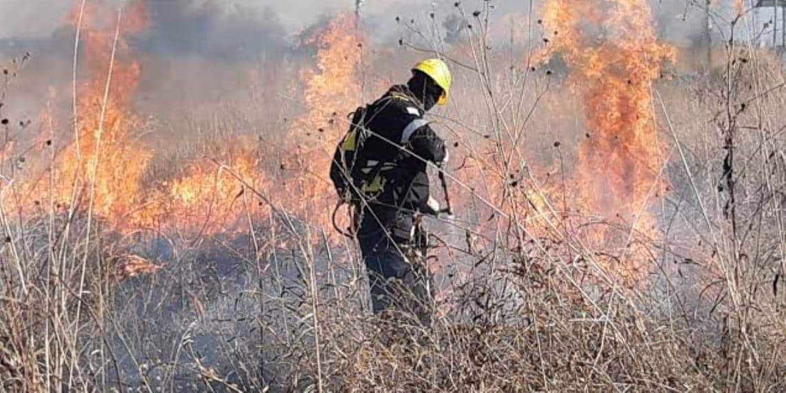 Tabasco preparado para prevenir y enfrentar incendios forestales: Javier May