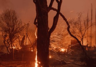 Beyoncé y DiCaprio donan millones por incendios en Los Ángeles