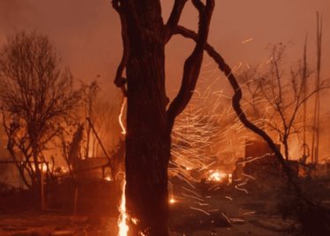 Beyoncé y DiCaprio donan millones por incendios en Los Ángeles