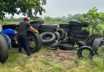 Elimina Salud más de 50 toneladas de llantas en 6 municipios para prevenir el dengue