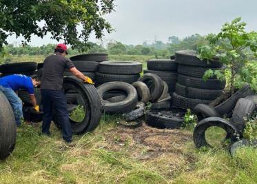 Elimina Salud más de 50 toneladas de llantas en 6 municipios para prevenir el dengue