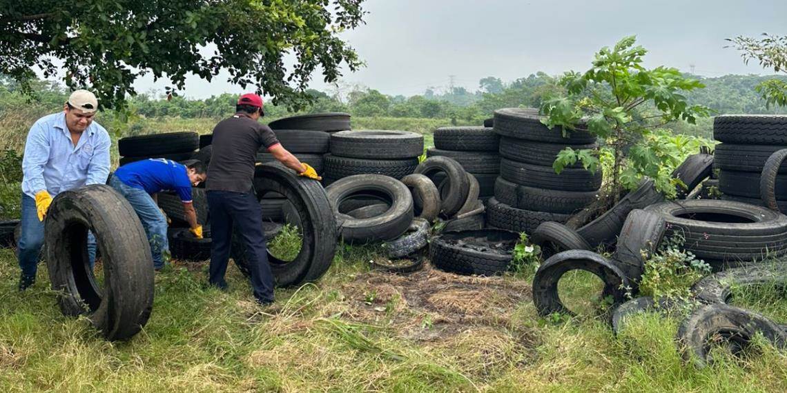 Elimina Salud más de 50 toneladas de llantas en 6 municipios para prevenir el dengue
