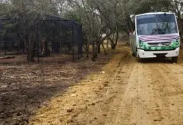Trabajador fallece debido a un ataque de leona en Safari de Tamaulipas