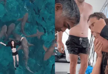 Terrible ataque de tiburón a influencer mientras grababa en Las Malvinas