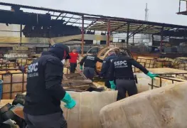 En Nuevo León fue asegurado un laboratorio clandestino