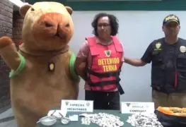 Policía peruano se disfraza de Capibara para capturar a traficante
