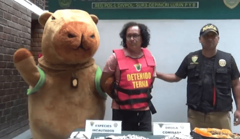 Capibara disfraz policial facilita arresto