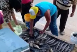 Por cuaresma, pescadores de Jonuta esperan repunte en ventas