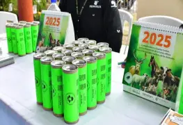 Refuerzan acciones contra gusano barrenador.