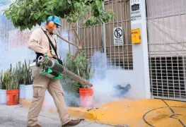 Salud actúa para evitar propagación del dengue, asegura Calderón Alipi