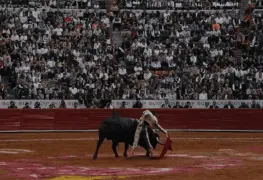 Impacto de la propuesta de Clara Brugada en las corridas de toros