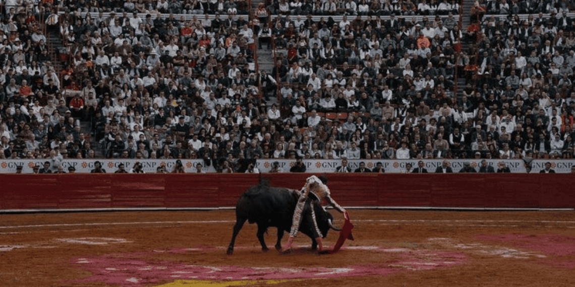 Impacto de la propuesta de Clara Brugada en las corridas de toros