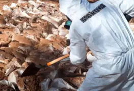 Marina desmantela enorme laboratorio de sustancias ilícitas en Zacatecas