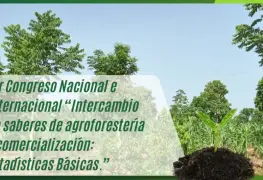 Continúa Congreso de agroforestería y comercio 