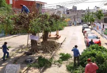 Recibe primer cuadro de Villahermosa atención integral con brigadas municipales