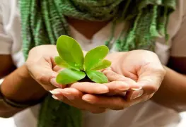 Convoca Centro a obtener el Distintivo Orgullo Verde Buenas Prácticas Socioambientales