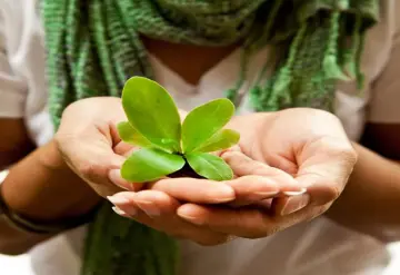 Convoca Centro a obtener el Distintivo Orgullo Verde Buenas Prácticas Socioambientales