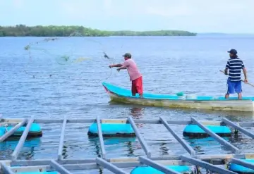 Arranca pago de Pescando Vida