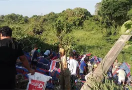 Se volaron los pollos.