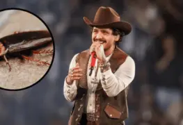 Dice que hay cucarachas.