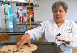 La UNAM crea tortilla innovadora.